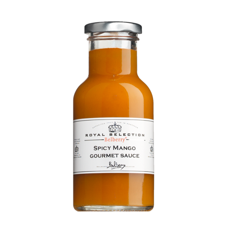 Tomaten-Ketchup Spicy Mango